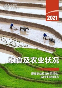 Bertrand.pt - The State Of Food And Agriculture 2021 (Chinese Edition)