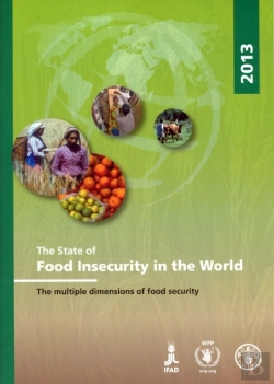 Bertrand.pt - The State Of Food Insecurity In The World 2013