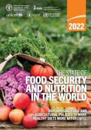 The State Of Food Security And Nutrition In The World 2022