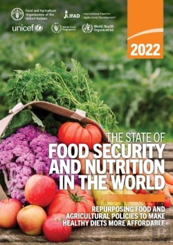 Bertrand.pt - The State Of Food Security And Nutrition In The World 2022