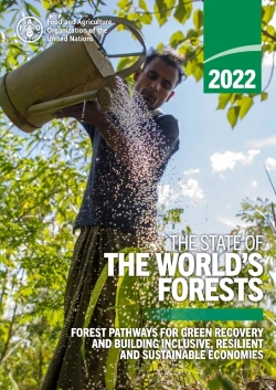 Bertrand.pt - The State Of The World'S Forests 2022