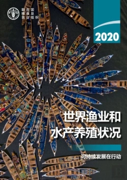 Bertrand.pt - The State Of World Fisheries And Aquaculture 2020 (Chinese Edition)