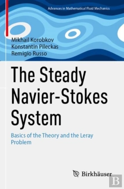 Bertrand.pt - The Steady Navier-Stokes System