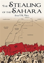 The Stealing Of The Sahara