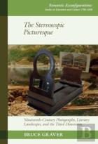The Stereoscopic Picturesque