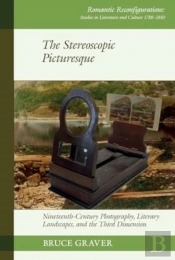 The Stereoscopic Picturesque