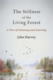 The Stillness Of The Living Forest