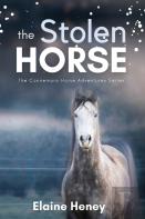 The Stolen Horse