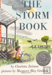 The Storm Book