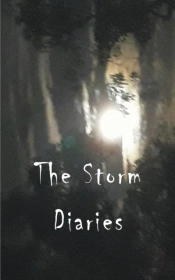 The Storm Diaries