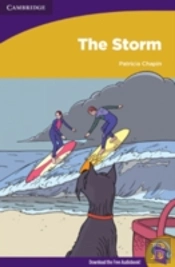 The Storm