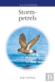 The Storm-Petrels