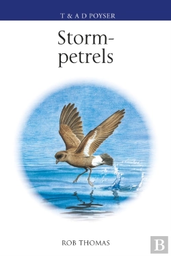 Bertrand.pt - The Storm-Petrels