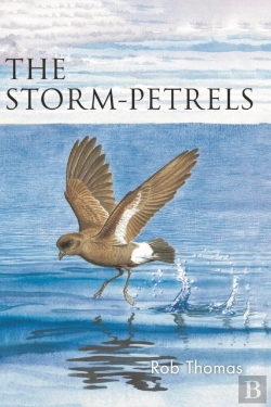 Bertrand.pt - The Storm-Petrels