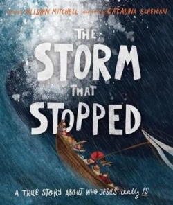 Bertrand.pt - The Storm That Stopped Storybook