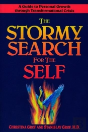 The Stormy Search For The Self