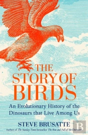 The Story Of Birds