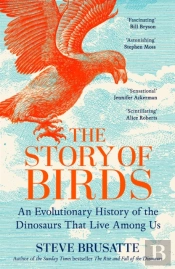 The Story Of Birds