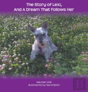 The Story Of Lexi