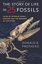 The Story Of Life In 25 Fossils