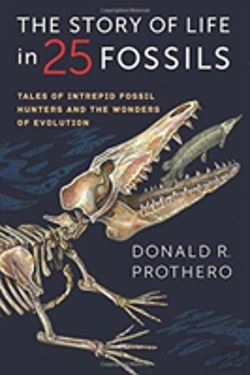 Bertrand.pt - The Story Of Life In 25 Fossils
