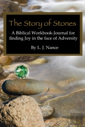 The Story Of Stones