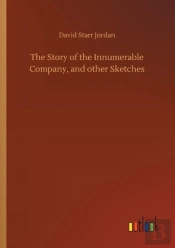 The Story Of The Innumerable Company, And Other Sketches