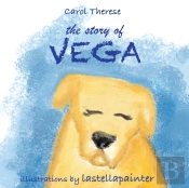 The Story Of Vega