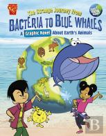 The Strange Journey From Bacteria To Blue Whales