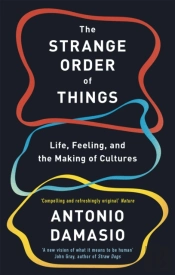 The Strange Order Of Things