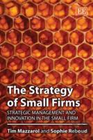 The Strategy Of Small Firms
