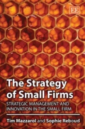 The Strategy Of Small Firms