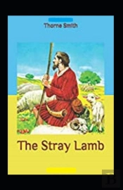 The Stray Lamb Annotated