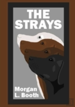 Bertrand.pt - The Strays