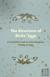 The Structure Of Birds Eggs - A Scientific Look At What Happens Inside An Egg