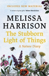 The Stubborn Light Of Things