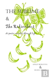 The Sublime And The Ridiculous