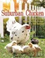 The Suburban Chicken
