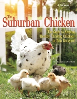 Bertrand.pt - The Suburban Chicken