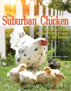 Bertrand.pt - The Suburban Chicken