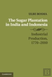 The Sugar Plantation In India And Indonesia