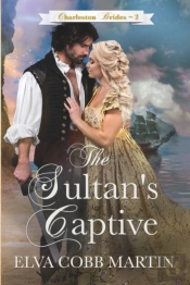 The Sultan'S Captive