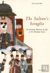 The Sultan'S Seraglio