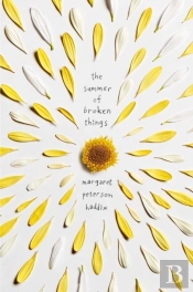 The Summer Of Broken Things