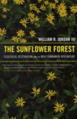 Bertrand.pt - The Sunflower Forest