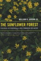 The Sunflower Forest