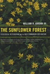 The Sunflower Forest