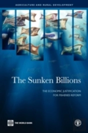 The Sunken Billions