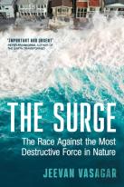 The Surge
