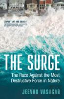 The Surge